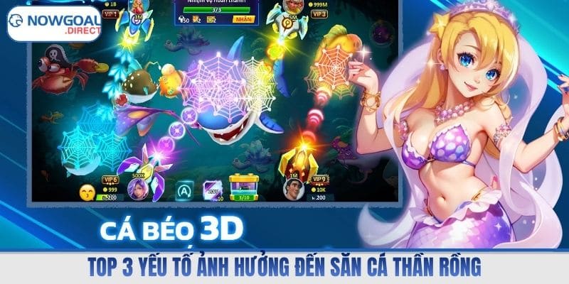 Top 3 yếu tố ảnh hưởng đến săn cá thần rồng
